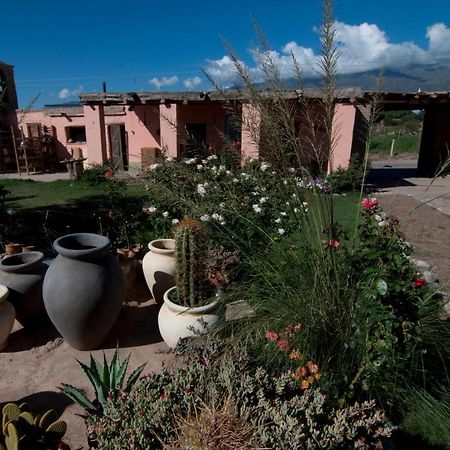 Finca Huayrapuca Famatina المظهر الخارجي الصورة