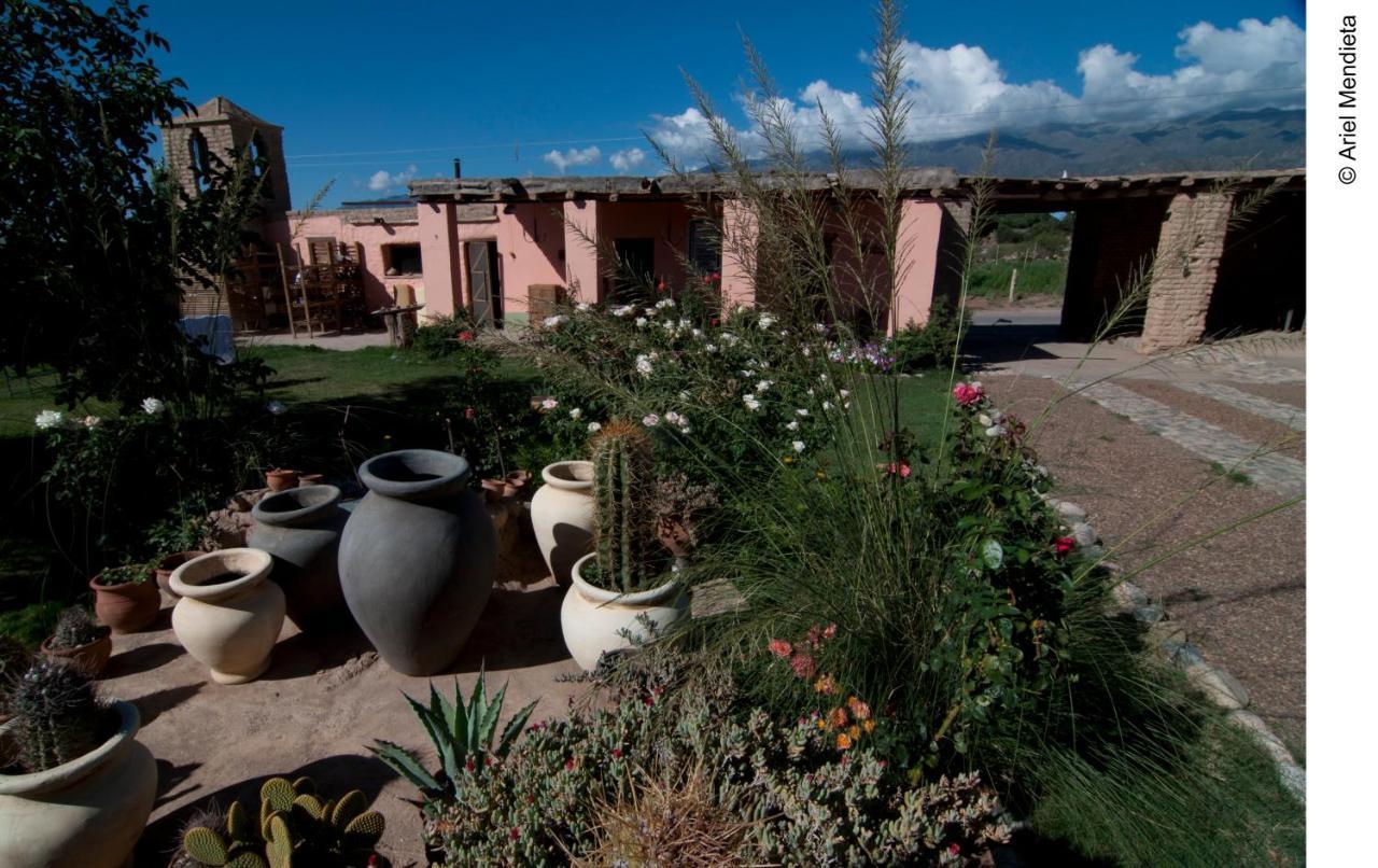 Finca Huayrapuca Famatina المظهر الخارجي الصورة