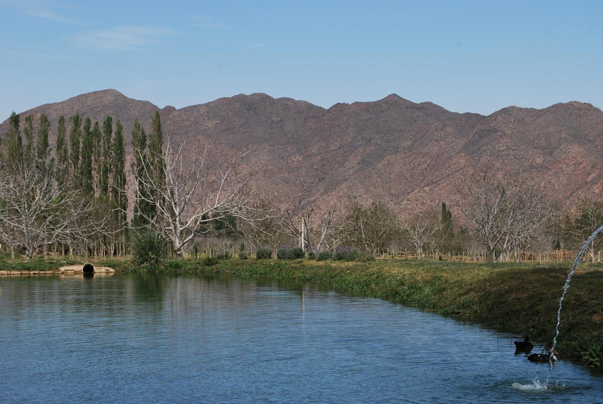 Finca Huayrapuca Famatina المظهر الخارجي الصورة